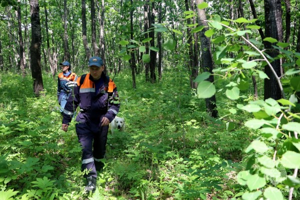 Пропавших в природной среде искали в Хабаровском крае