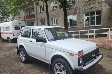 Итоги дня: трагедия у высотки, липовый диплом, тигр и медведь нападают на собак и человека