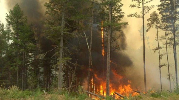 Режим ЧС ввели в одном из районов Хабаровского края
