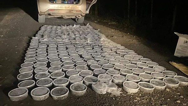 В Хабаровском крае полицейские изъяли из незаконного оборота 160 кг черной икры
