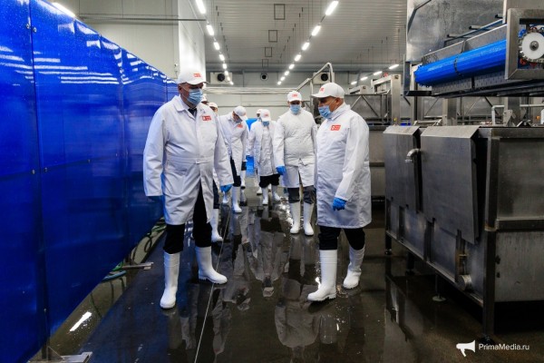 Торговые представители иностранных государств посетили завод "Русский минтай"