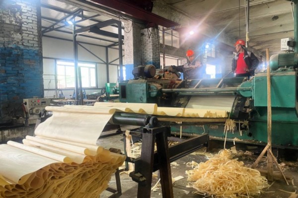 Выпуск продукции глубокой переработки древесины наладят в Хабаровском крае