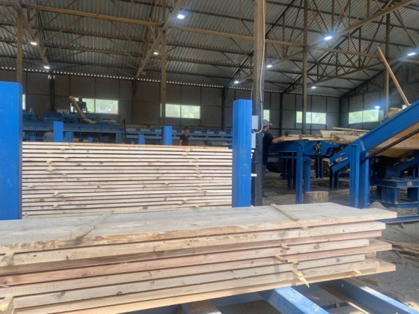 Выпуск продукции глубокой переработки древесины наладят в Хабаровском крае