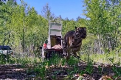 Итоги дня: смертельный переворот, юные спасатели и дополнительные рейсы