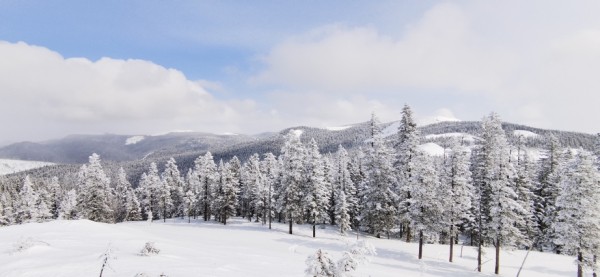 В Хабаровске подвели итоги экологического фотоконкурса "Край родной, навек любимый!"