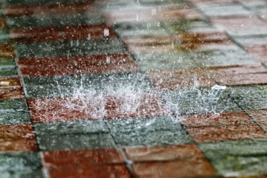 Итоги дня: циклон в городе, цветущие лотосы, гибель байкера и поиски пенсионера