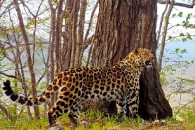 Итоги дня: дети без спорта, прокуратура разберется в потопе, автомобильный крестный ход