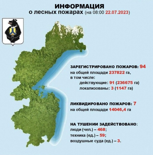94 лесных пожара бушует в Хабаровском крае