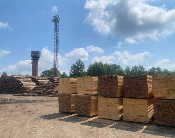 Выпуск продукции глубокой переработки древесины наладят в Хабаровском крае