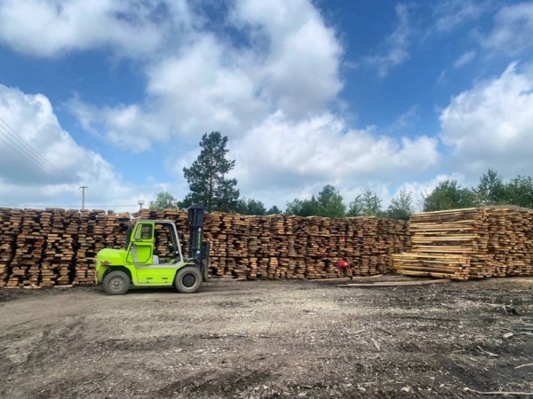 Выпуск продукции глубокой переработки древесины наладят в Хабаровском крае