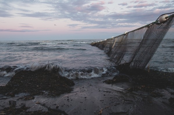 Регионы и рыбаки услышаны: закон о рыболовных участках подписан президентом РФ