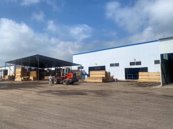 Выпуск продукции глубокой переработки древесины наладят в Хабаровском крае