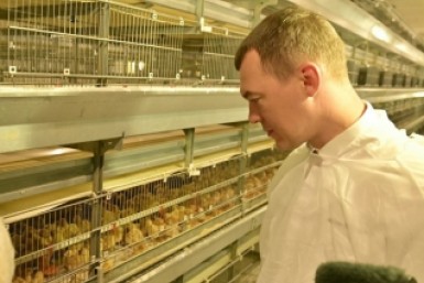 Итоги дня: секрет студента из КНР, стройка полным ходом, погиб Гектор и переливы Приморья