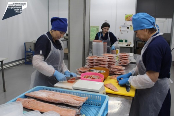 Сельдь, треска и минтай: рыбодобытчики Хабаровского края выходят на внешние рынки