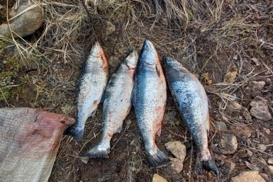 Итоги дня: растрата и главврач, духота возвращается, лесные пожары и трагедия на озере