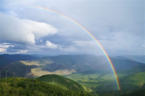 В Хабаровске подвели итоги экологического фотоконкурса "Край родной, навек любимый!"