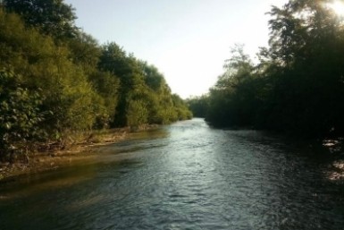 Итоги дня: секрет студента из КНР, стройка полным ходом, погиб Гектор и переливы Приморья