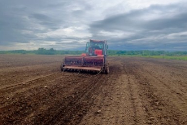 Итоги дня: Сабантуй в Хабаровске, второе дело Фургала, угонщик сотовых