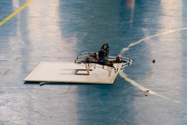 Итоги дня: сильные дожди, 100-летие российского волейбола и необычные скворечники