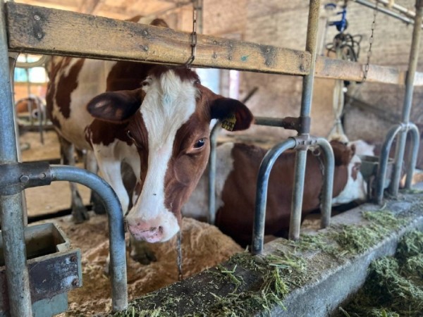 В Хабаровском крае для сельхозпроизводителей работает молочная лаборатория