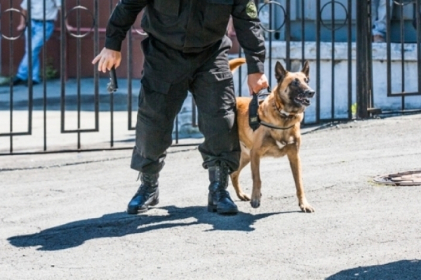 Житель Хабаровского края "заминировал" медучреждение