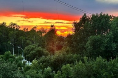 Итоги дня: свадебные тренды, ремонт надземного перехода и подпольный игорный дом