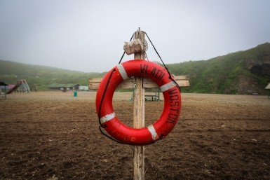 Итоги дня:  срок за калугу, уход легенды, кот и пес в огне и "липовая молочка"
