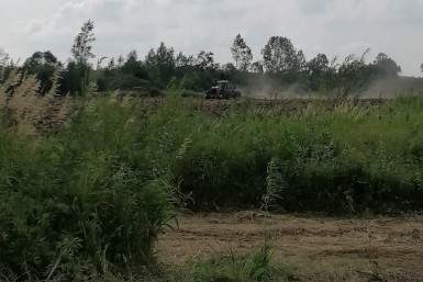 Итоги дня: пропажа медалей и посылок, арбузная суббота, а также пожар в Доме ветеранов Итоги дня: пропажа медалей и посылок, арбузная суббота, а также пожар в Доме ветеранов