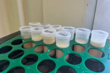 Итоги дня: поджог четырёх машин, молочная лаборатория и незаконная реклама