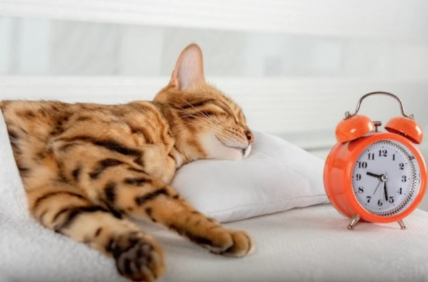 Итоги дня:  беседа с чемпионом, ливни на носу, пожары и наводнения и смертельные посиделки