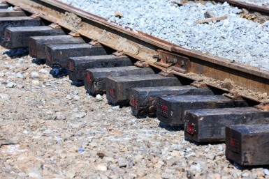 Итоги дня: в ожидании тайфуна, томаты и вирусы, тайга в огне и срок для браконьера Итоги дня: в ожидании тайфуна, томаты и вирусы, тайга в огне и срок для браконьера