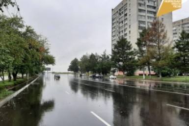 Итоги дня: "Тигриные истории", мастер-класс по боксу и кража на миллион