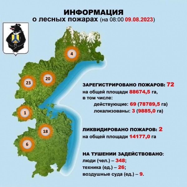 Лесные пожары в Хабаровском крае распространились на площади более 88 тысяч га