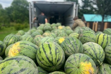 Итоги дня: пропажа медалей и посылок, арбузная суббота, а также пожар в Доме ветеранов Итоги дня: пропажа медалей и посылок, арбузная суббота, а также пожар в Доме ветеранов