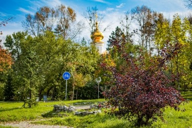 Итоги дня: прибавка врачам, 100 млн отельерам, шоу в защиту тигра и странное похищение