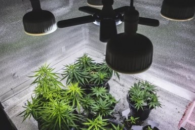 Итоги дня: сбитый мальчик, смертельный кювет, заморозки уже завтра и с молотком на соседа