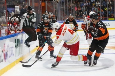 Итоги дня: коварный грипп, жуткая находка, убийство в семье и пуля для Рыжули Итоги дня: коварный грипп, жуткая находка, убийство в семье и пуля для Рыжули