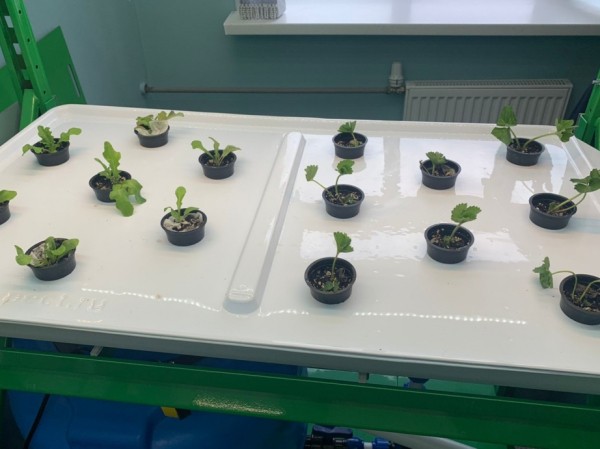 Кадры для сельского хозяйства начали готовить в школе села Мичуринское Хабаровского края