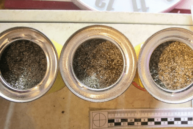 Итоги дня: взрывчатка на руках, итоги выборов, "зеленая" акция и приговор для закладчика