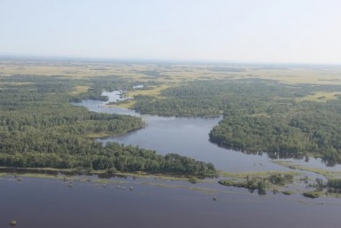 Итоги дня: взрывчатка на руках, итоги выборов, "зеленая" акция и приговор для закладчика