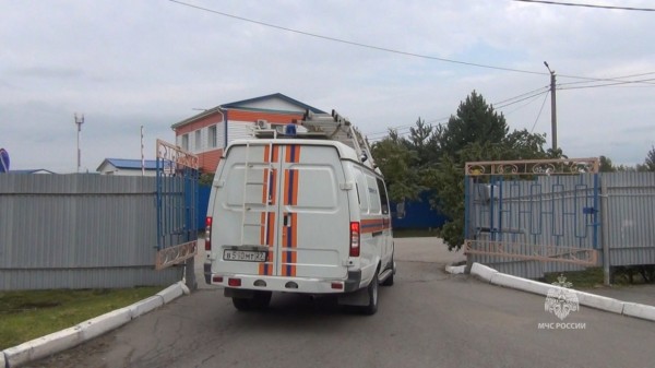 Дважды грибники заблудились в лесу за сутки в Хабаровском крае