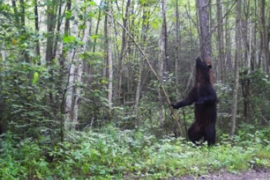 Итоги дня: материнский подвиг, аномальная жара, нелегалов выдворят, Хабаровск-миллионник