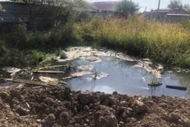 Итоги дня: прибавка врачам, 100 млн отельерам, шоу в защиту тигра и странное похищение