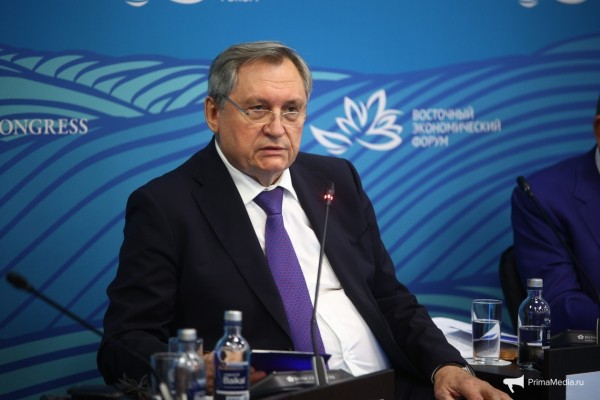 Строительство мощной атомной электростанции на Дальнем Востоке жизненно необходимо