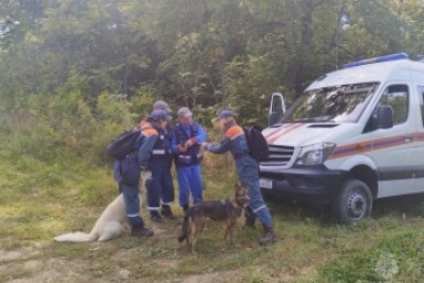 Итоги дня: взрывчатка на руках, итоги выборов, "зеленая" акция и приговор для закладчика