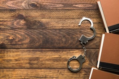 Итоги дня: бараков быть не должно, новый хищник, обманутые старики и опять непогода