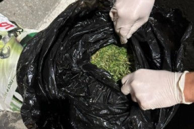 Итоги дня: коварный грипп, жуткая находка, убийство в семье и пуля для Рыжули Итоги дня: коварный грипп, жуткая находка, убийство в семье и пуля для Рыжули