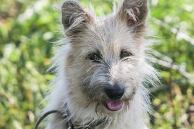 Итоги дня: взрывчатка на руках, итоги выборов, "зеленая" акция и приговор для закладчика