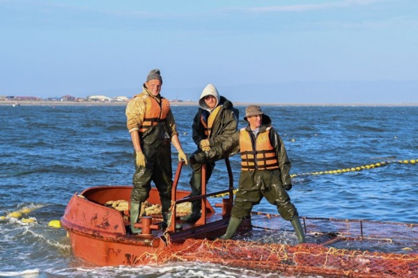 Небоскреб построим, в 90-х был свой порядок - экономист, бизнесмен Александр Сидоренко Небоскреб построим, в 90-х был свой порядок - экономист, бизнесмен Александр Сидоренко