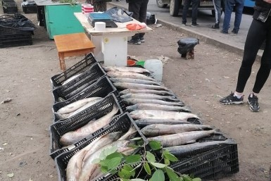 Итоги дня: опасные краны, спасение рыбаков, рыба с душком и трудовая молодежь в деле